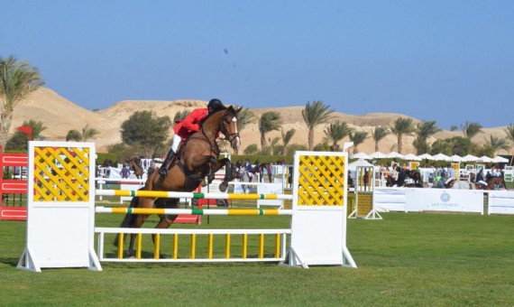 مصنع آيس كريم