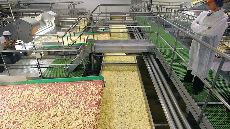 مصنع إنتاج البطاطس المجمدة